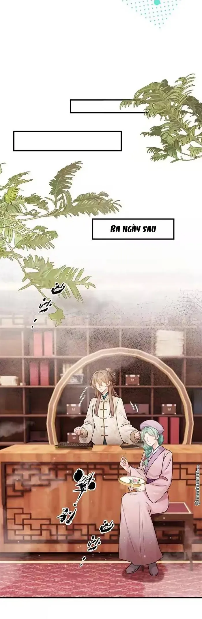 mang-ca-sieu-thi-xuyen-khong-ve-nuoi-thua-tuong-19