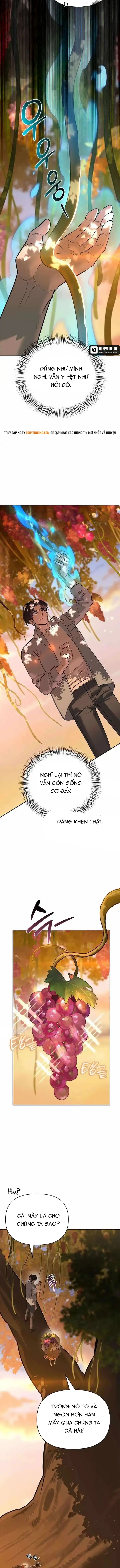 nhat-ky-cua-tho-san-hang-s-5