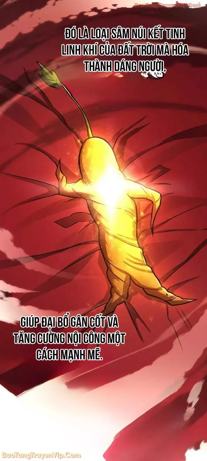 quy-kiem-thien-tai-cua-hoa-son-phai-17