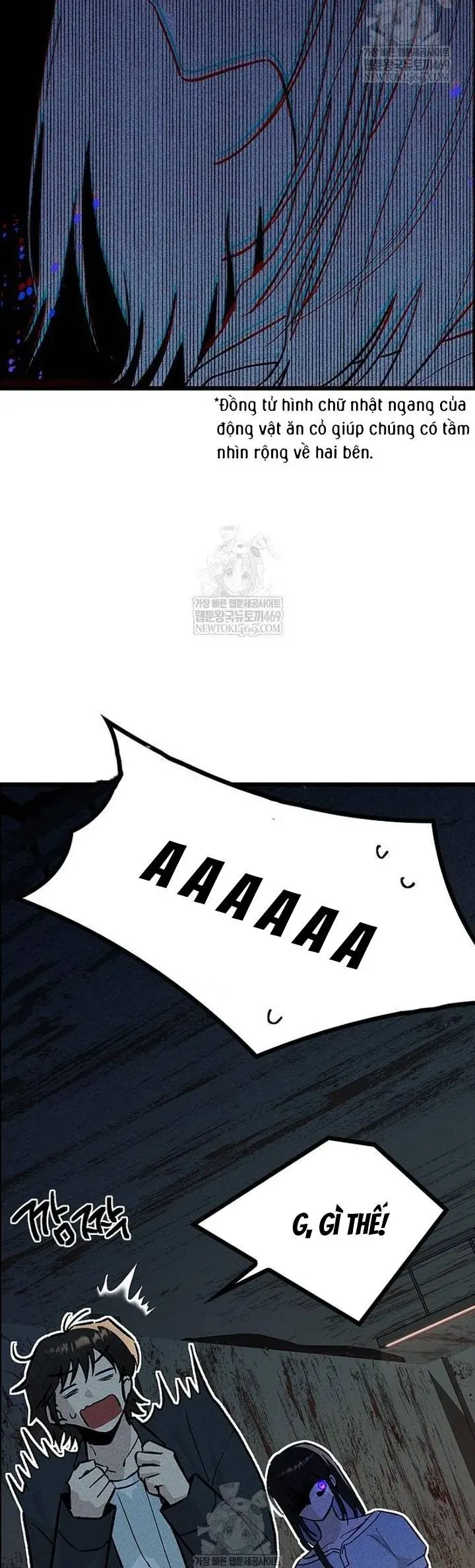 thieu-nu-12-con-giap-20