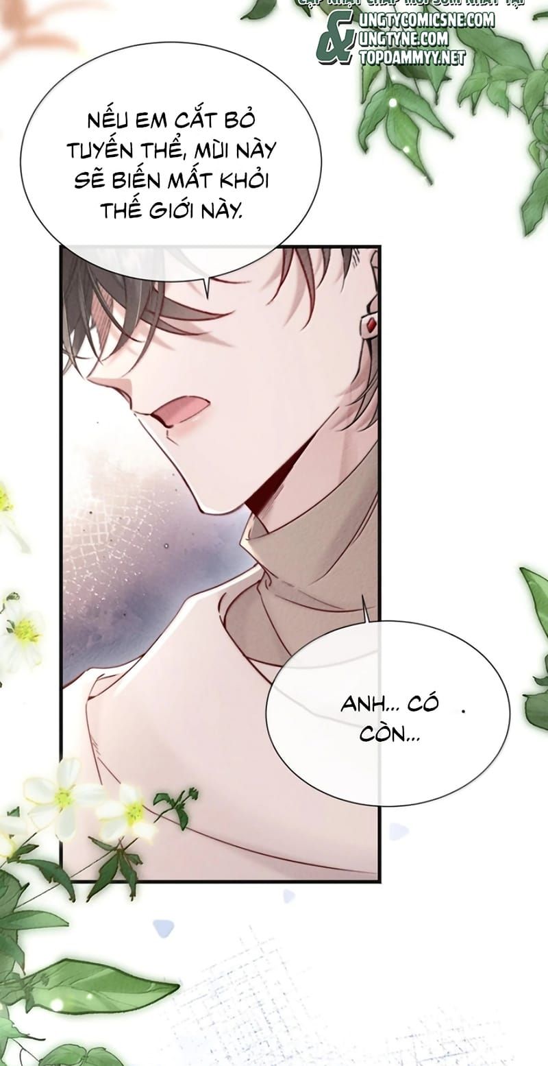 ke-hoach-tu-duong-cuong-khuyen-24