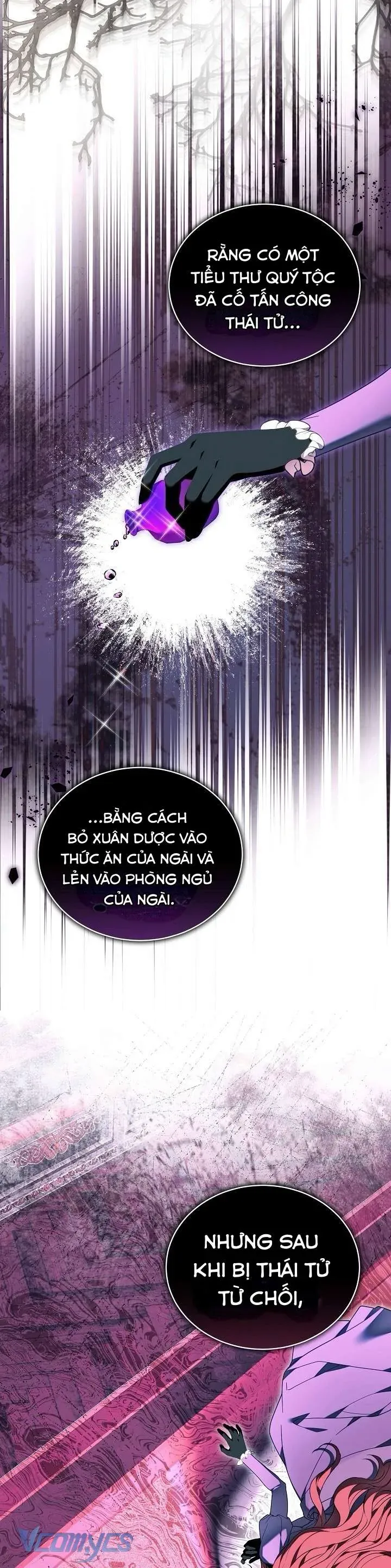 Tiểu Thư Là Kẻ Bám Đuôi Chap 13 - Next Chap 12