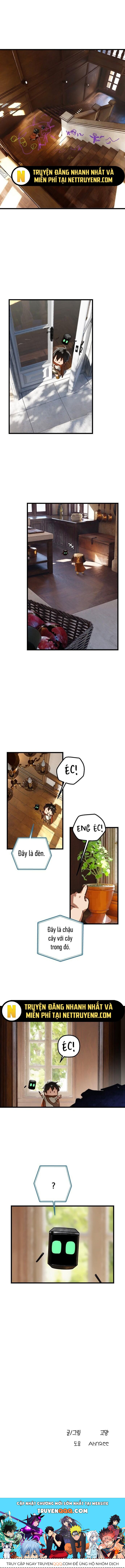 Gặp Mẹ Trong Mơ