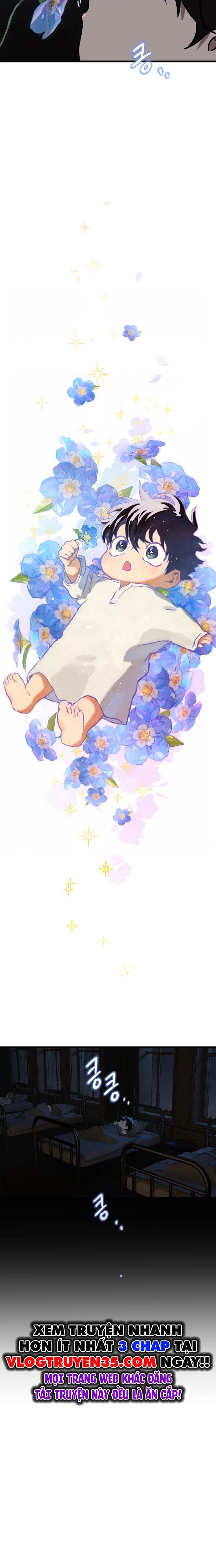 Gặp Mẹ Trong Mơ