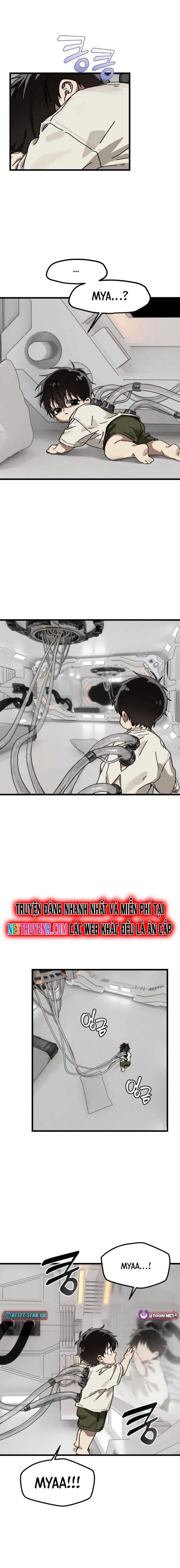 Gặp Mẹ Trong Mơ