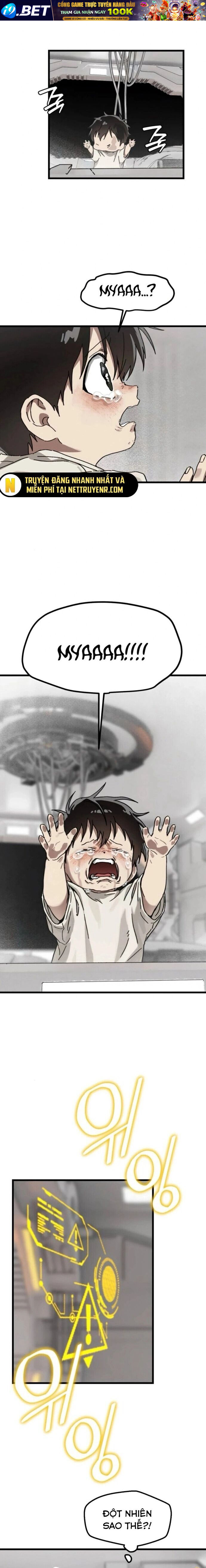 Gặp Mẹ Trong Mơ