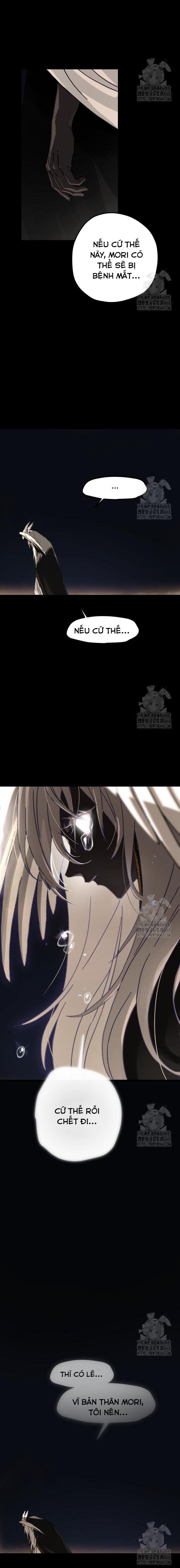 Gặp Mẹ Trong Mơ