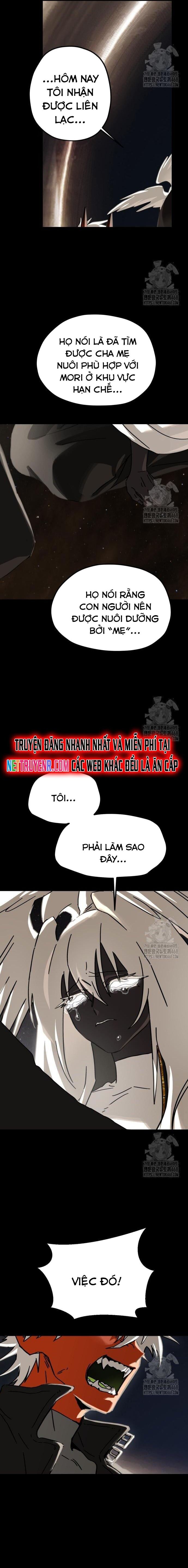 Gặp Mẹ Trong Mơ