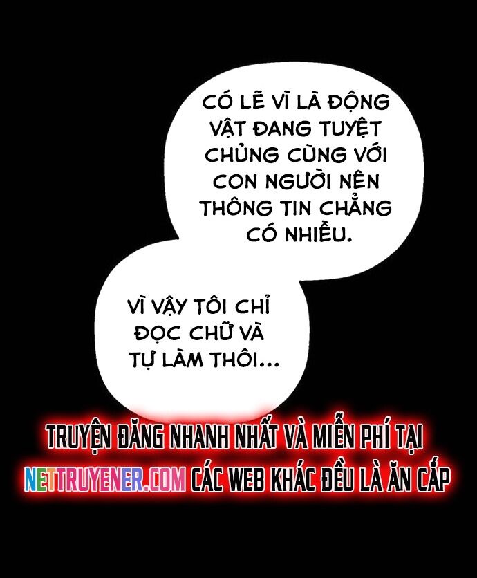 Gặp Mẹ Trong Mơ