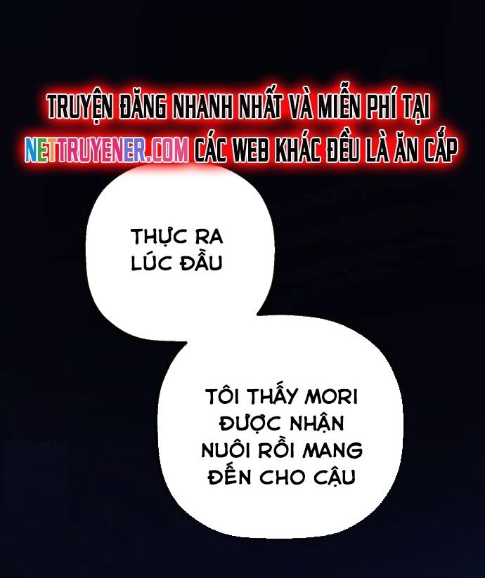 Gặp Mẹ Trong Mơ