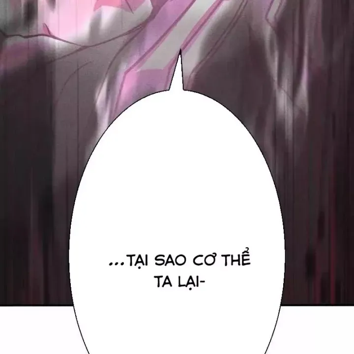 Anh Hùng Tái Xuất Học Viện