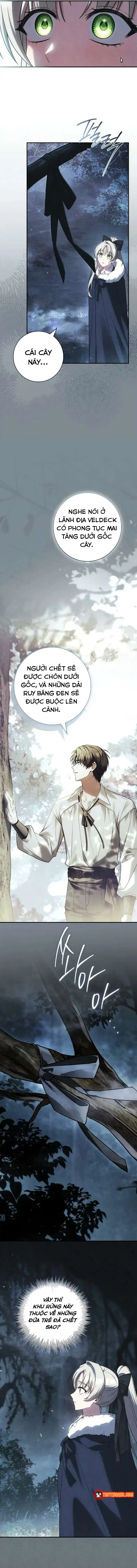 Dịch Vụ Xử Lý Tra Nam Biết Hối Chính Thức Khai Trương