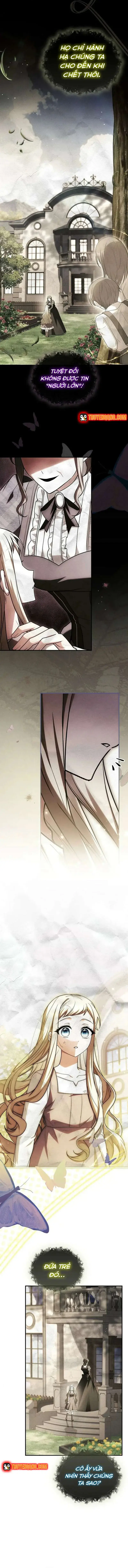 Dịch Vụ Xử Lý Tra Nam Biết Hối Chính Thức Khai Trương