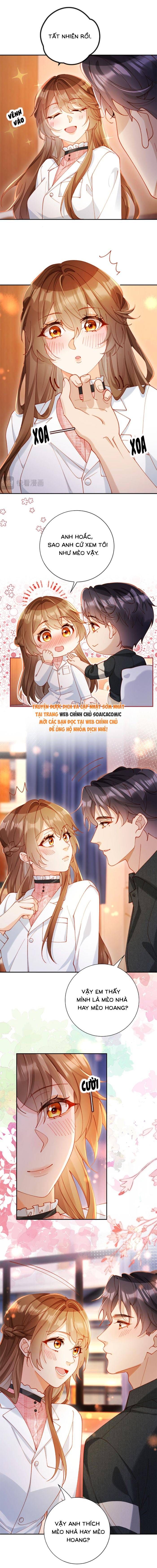 Nụ Hôn Xung Hỉ: Đại Lão Thực Vật Sống Lại Rồi! Chap 29 - Next Chap 30