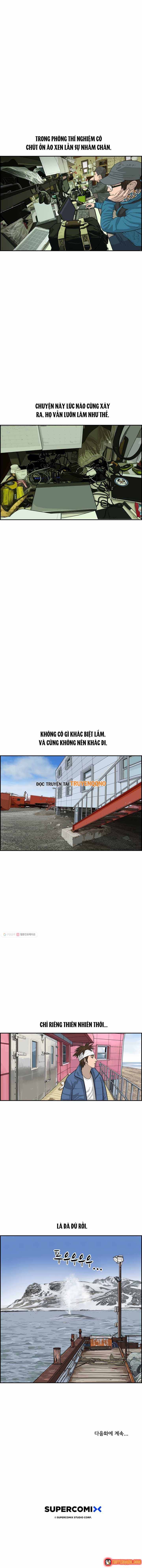 Cá Con (Vảy Cá)