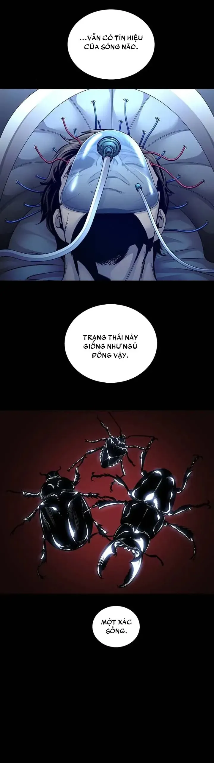 Dead Queen Chap 66 - Next Chap 67