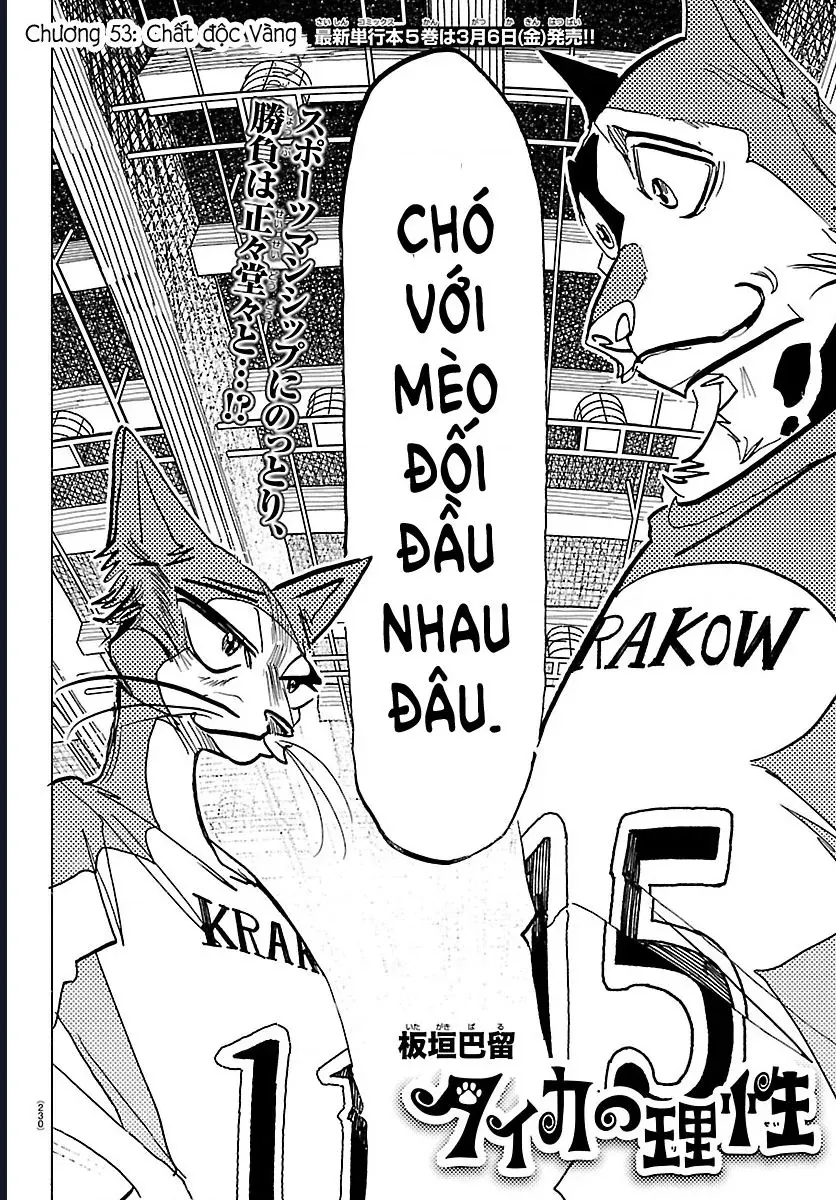 Lý Trí Của Taika Chap 53 - Next Chap 54