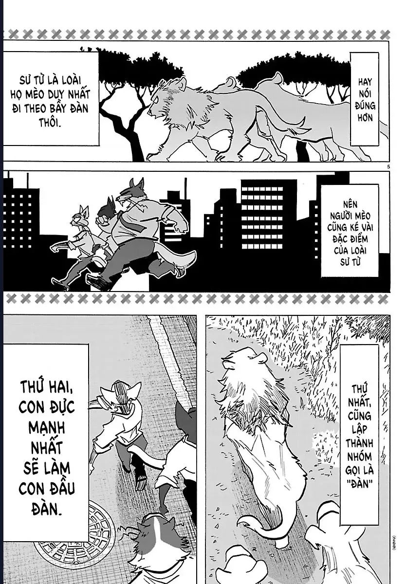 Lý Trí Của Taika Chap 54 - Next Chap 55