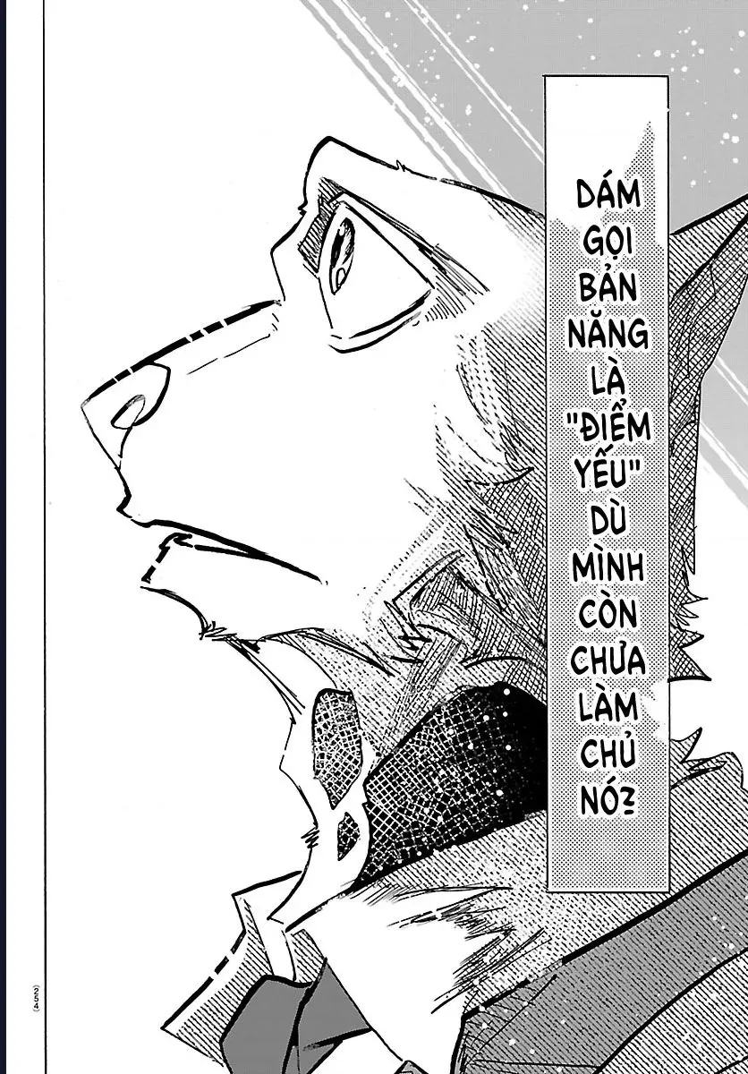 Lý Trí Của Taika Chap 55 - Next Chap 56