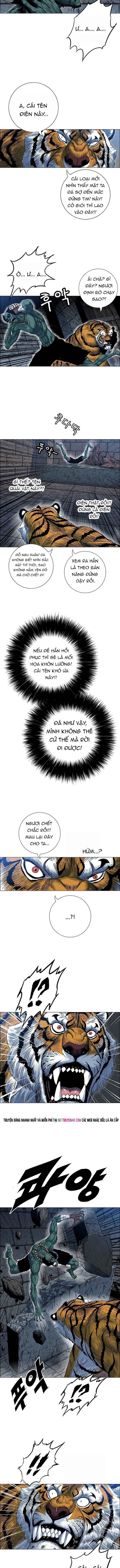 Anh Trai Tôi Là Hổ