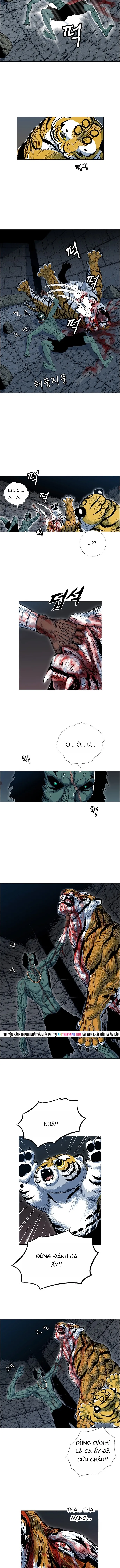 Anh Trai Tôi Là Hổ