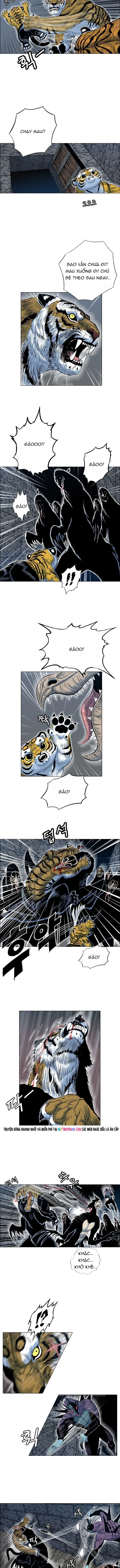 Anh Trai Tôi Là Hổ