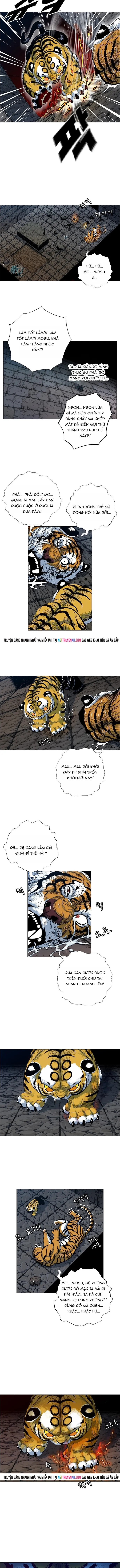 Anh Trai Tôi Là Hổ