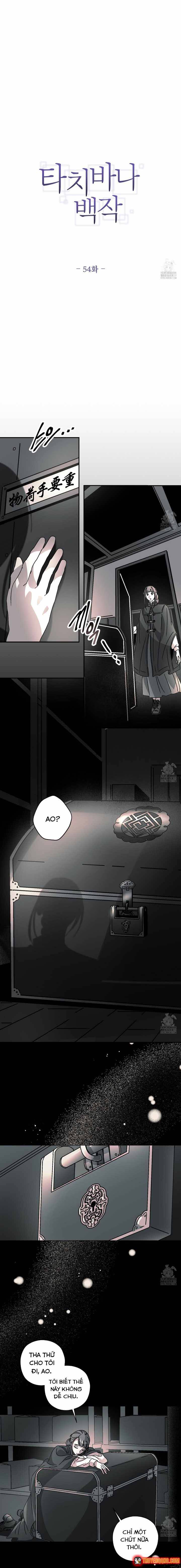 Bá Tước Tachibana