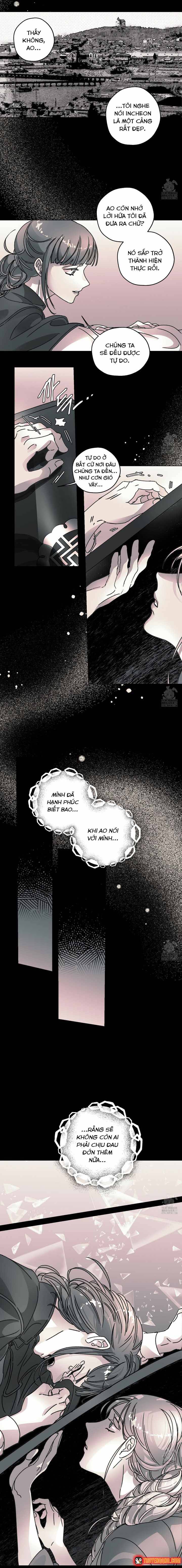 Bá Tước Tachibana