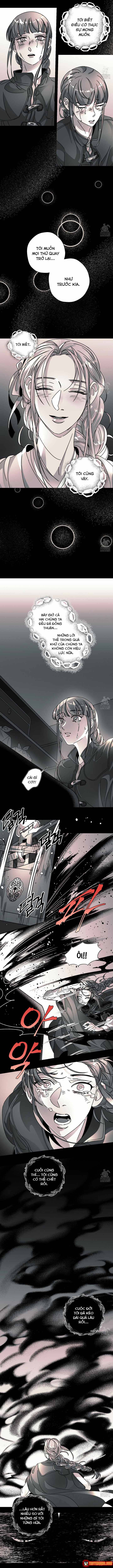 Bá Tước Tachibana