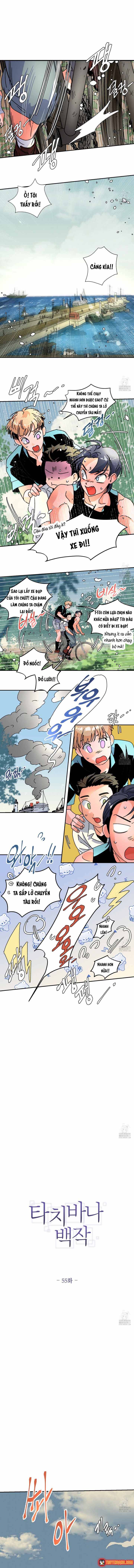 Bá Tước Tachibana