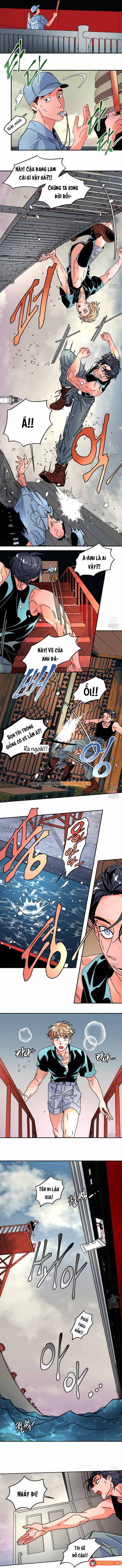 Bá Tước Tachibana