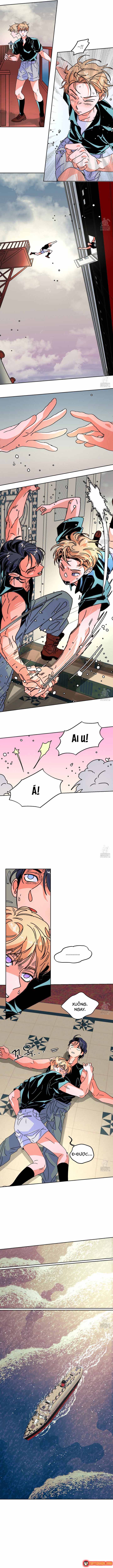 Bá Tước Tachibana