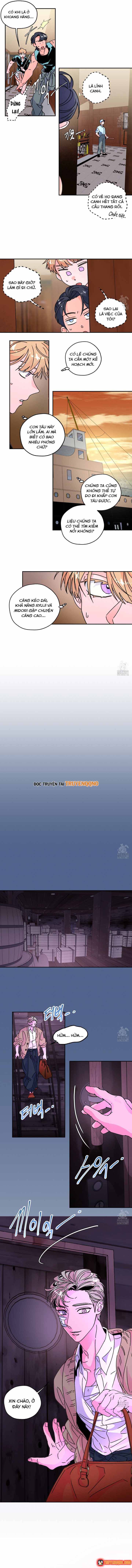 Bá Tước Tachibana