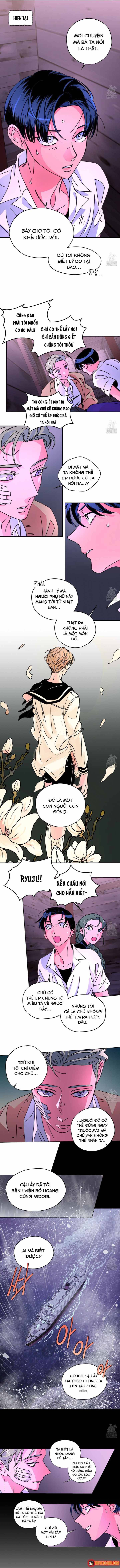 Bá Tước Tachibana