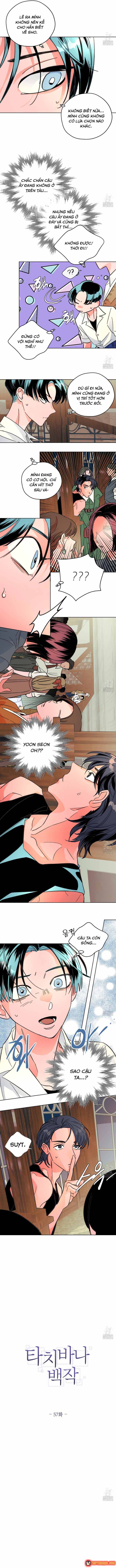 Bá Tước Tachibana