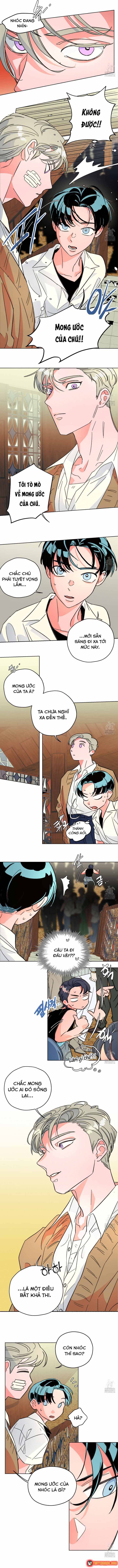 Bá Tước Tachibana