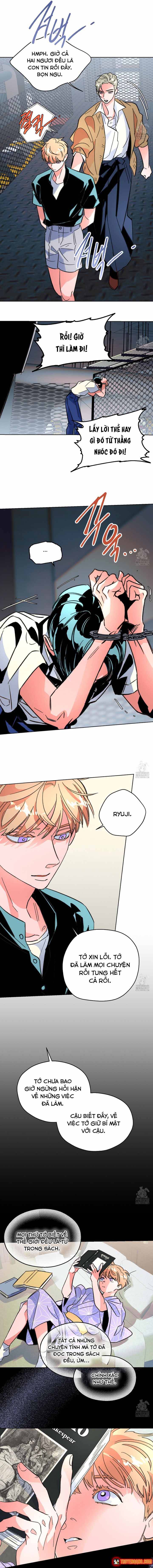 Bá Tước Tachibana