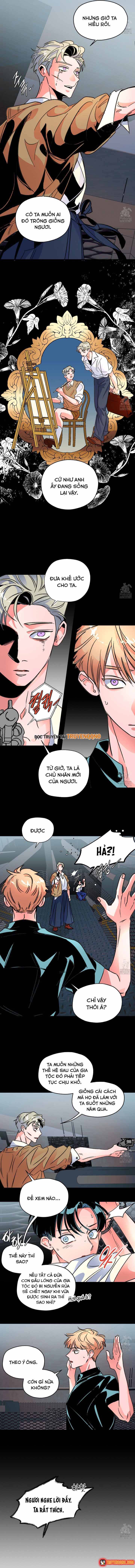 Bá Tước Tachibana