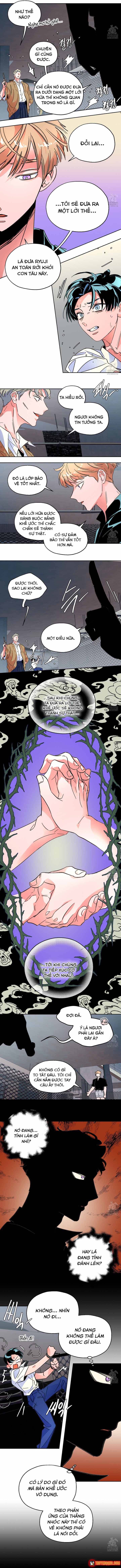 Bá Tước Tachibana