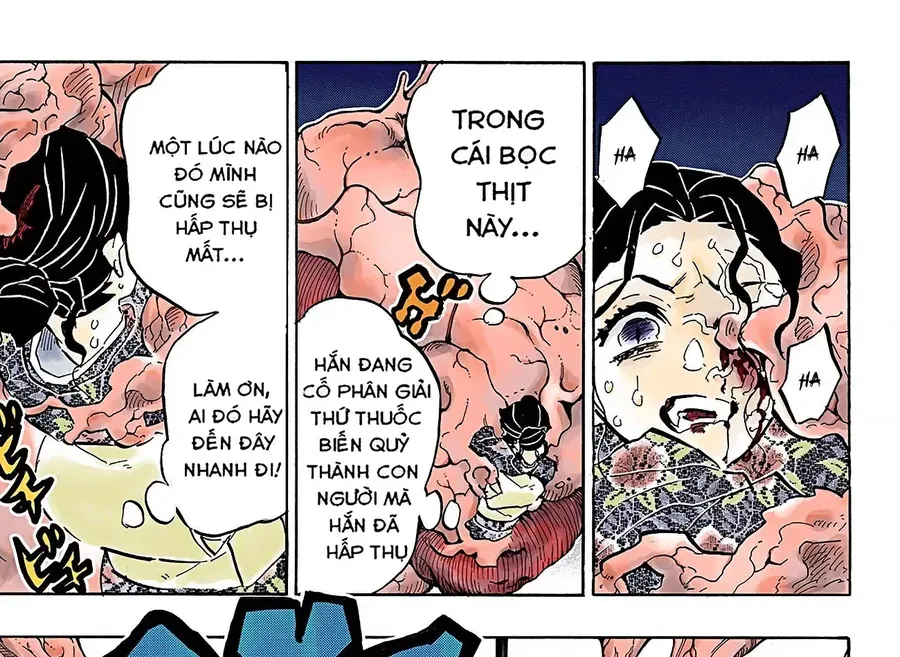 Thanh Gươm Diệt Quỷ (Truyện Màu) Chap 146 - Next Chap 147