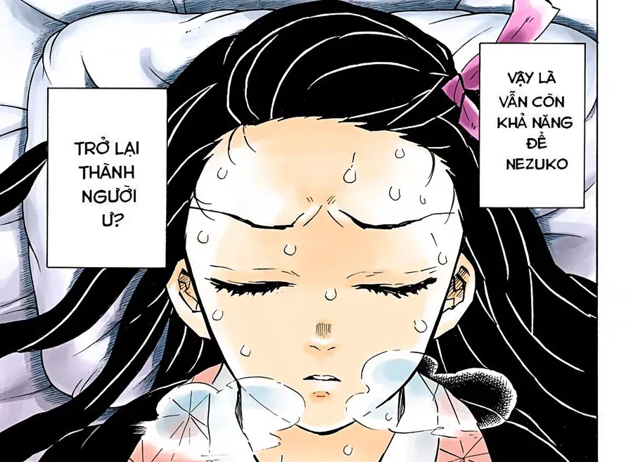Thanh Gươm Diệt Quỷ (Truyện Màu) Chap 147 - Next Chap 148