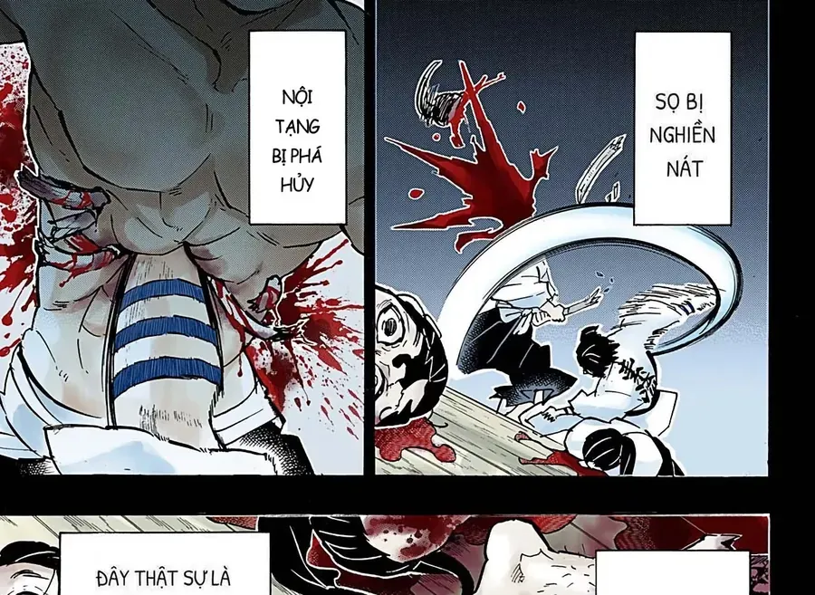 Thanh Gươm Diệt Quỷ (Truyện Màu) Chap 155 - Next Chap 156