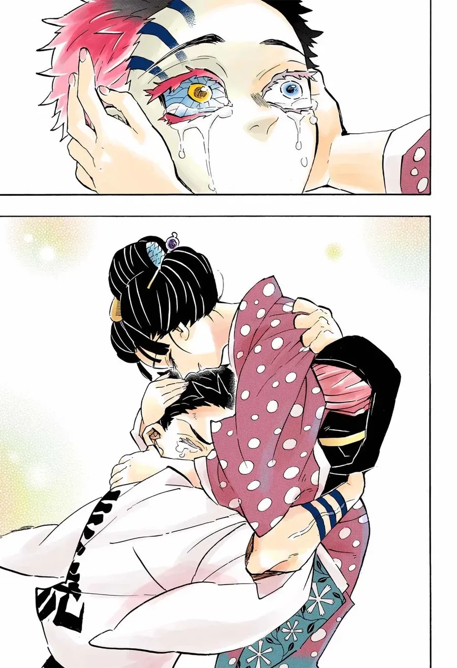 Thanh Gươm Diệt Quỷ (Truyện Màu) Chap 156 - Next Chap 157