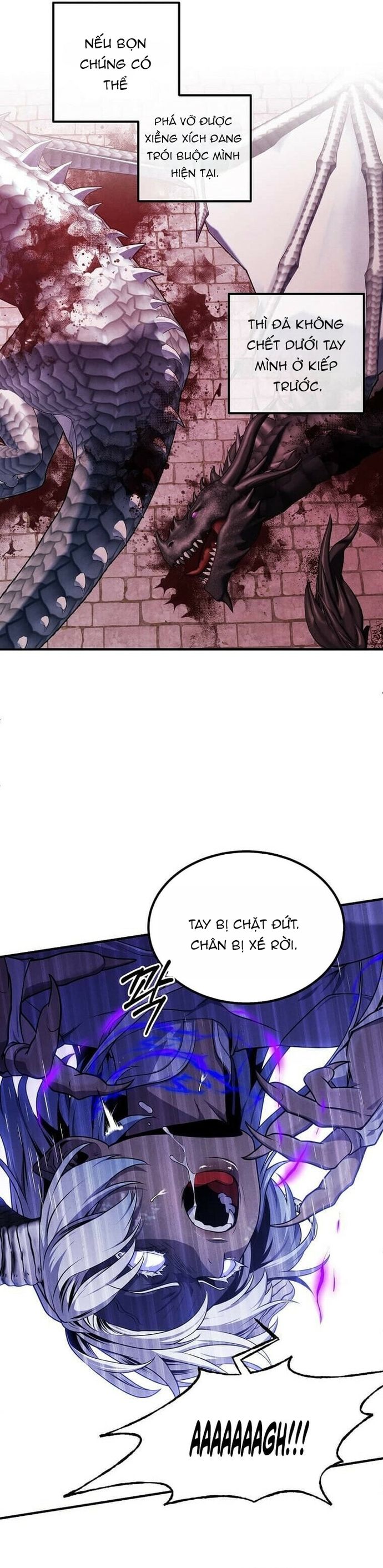 Con Trai Út Huyền Thoại Nhà Hầu Tước