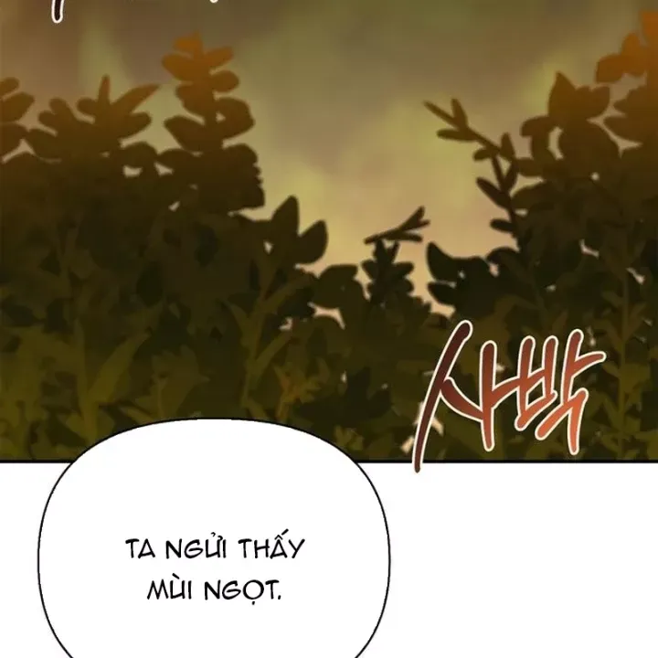 Healer Cấp S Chữa Trị Cho Quái Vật Chap 35 - Next Chap 36