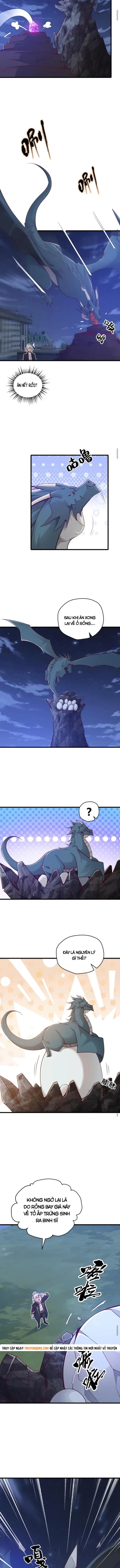 Cả Server Đều Muốn Ám Sát Ta