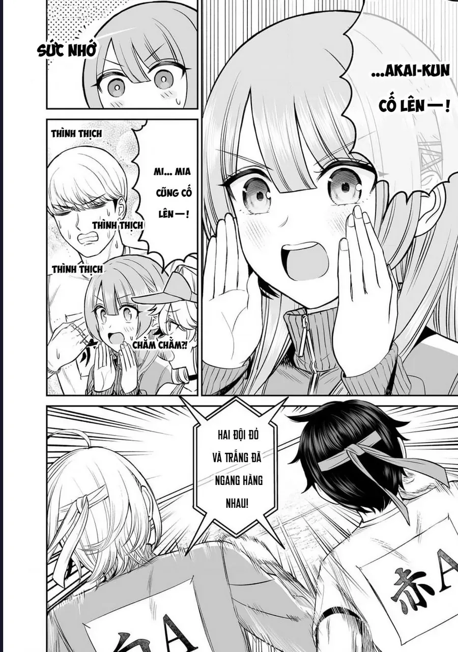 Cô bạn hoàng tử