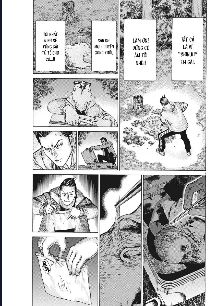 Đám Cưới Của Natsume Arata Chap 57 - Next Chap 58