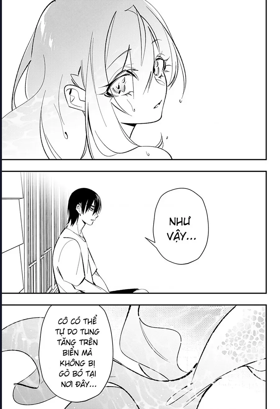 Tình Yêu Và Nàng Tiên Cá Chap 2 - Next Chap 3